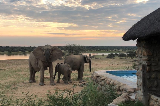 IMG-20230428-WA0042_0.jpg IMG-20230428-WA0042_0.jpg