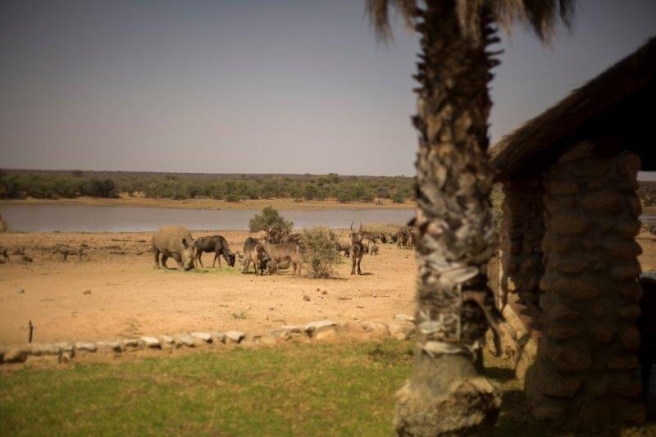 _V6A6436_0.jpg _V6A6436_0.jpg