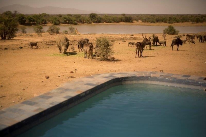 _V6A6438_0.jpg _V6A6438_0.jpg